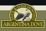 Argentina Dove