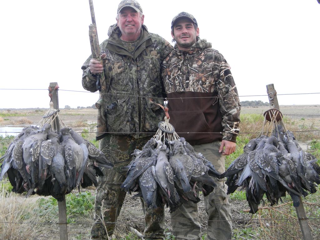 argentina dove hunting trips