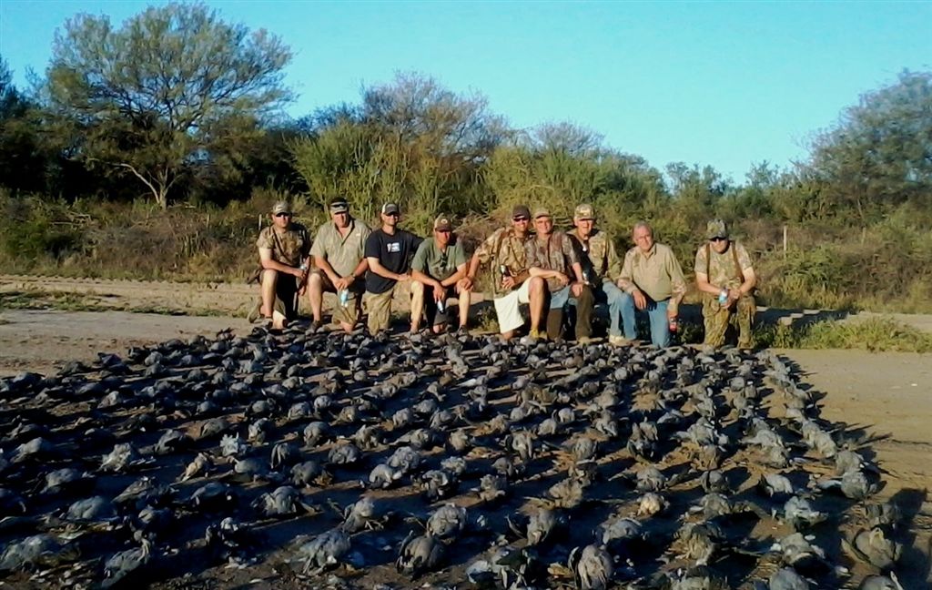 dove hunting trips in argentina